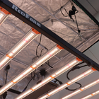 800W Full Spectrum LED Grow Lights For Indoor 4x4ft Hydroponics Garden