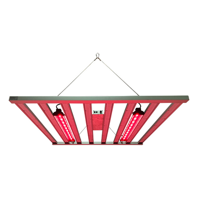 800W 8Bars Samsung LM281B Kapalı 4x4 ft Hidroponik İçin Tam Spektrumlu LED Işık