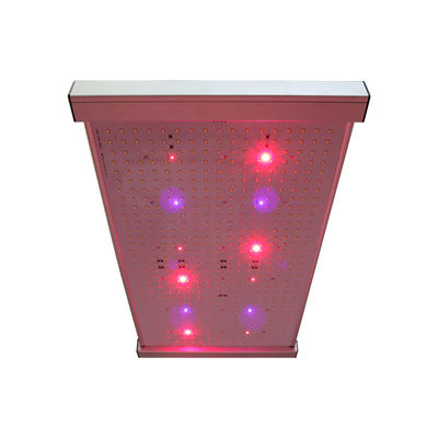 Quantum 2x2 LED Grow Işık